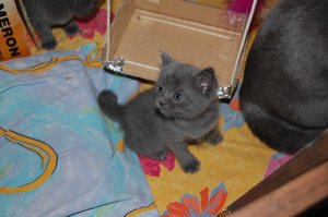 DSC_03981.jpg