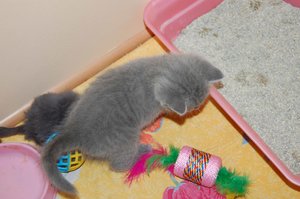 DSC_04001.jpg