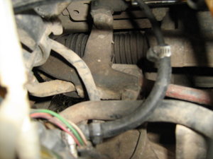 IMG_6366_resize.JPG