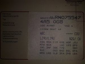 08112009254.jpg