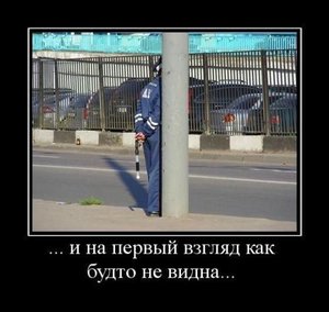 6006845fbe.jpg