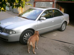 aVJGf6J-9b136a2590e3cb6a63edff8e1228d79d.jpg