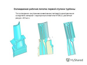 slide_13.jpg