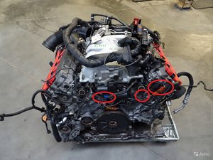 5197764977.jpg