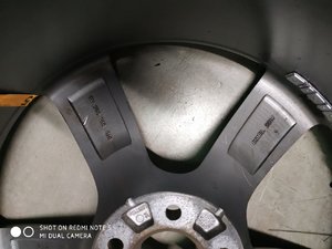 IMG_1153.JPG