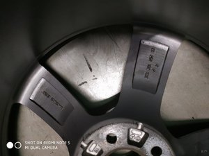 IMG_1154.JPG