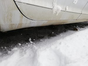 IMG_20190208_111156.jpg