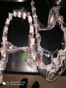 IMG_20190218_203117.jpg