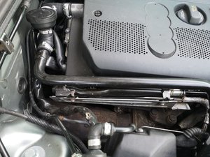 IMG_20190216_114610.jpg