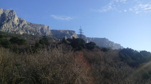 20190220_091550.jpg