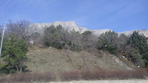 20190220_132203.jpg