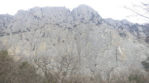 20190226_144745.jpg