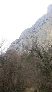 20190226_145508.jpg