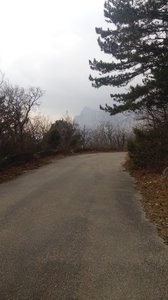 20190226_145918.jpg