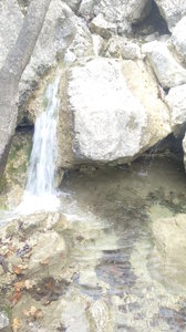 20190226_151213.jpg