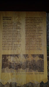 20190226_151931.jpg