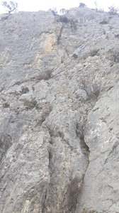20190226_152644.jpg
