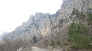 20190226_152916.jpg