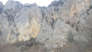 20190226_153323.jpg