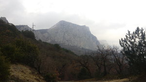 20190226_154204.jpg