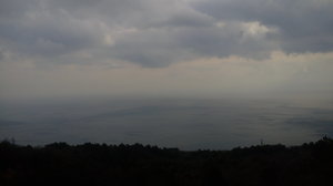 20190226_154231.jpg