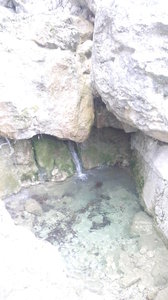 20190226_154849.jpg