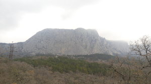 20190226_160011.jpg