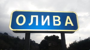 20190226_170107.jpg