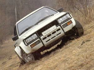 audi_90_quattro_treser_hunter_2.jpg