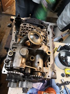IMG_20190307_180351_004.jpg