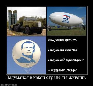 медвед.jpg