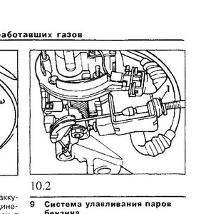моник.jpg