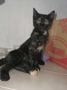 CIMG6787.JPG
