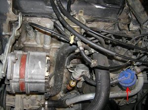 Resize of PC230027.JPG
