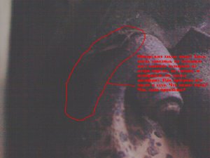 IMG040.jpg