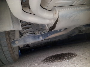 20190405_190814.jpg
