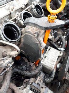 20190401_131945.jpg