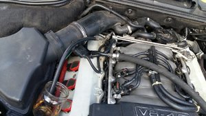20190328_135437.jpg