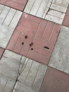 1D6C805D-36D5-4CC1-B202-AC7ED3E9B14E.jpeg