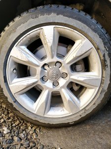 IMG_20190407_165236.jpg