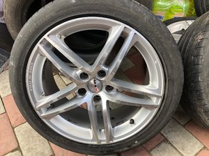 20190409144932_IMG_6542.jpg