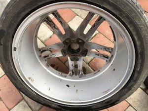 20190409145023_IMG_6544.jpg