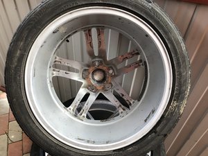 20190409145256_IMG_6554.jpg