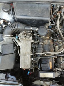 IMG_20190412_172416.jpg