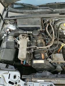 IMG_20190412_172326.jpg