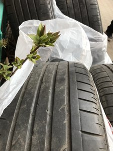 8B0138BD-397A-4E31-9F75-37359E2528D2.jpeg