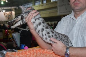 DSC_0813.JPG