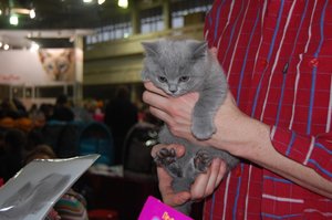 DSC_0814.JPG
