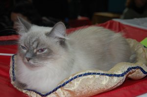 DSC_0828.JPG