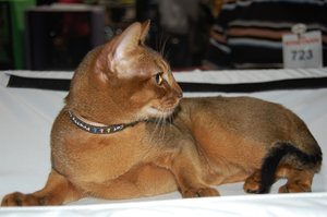 DSC_0830.JPG